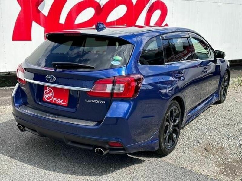 LEVORG-12