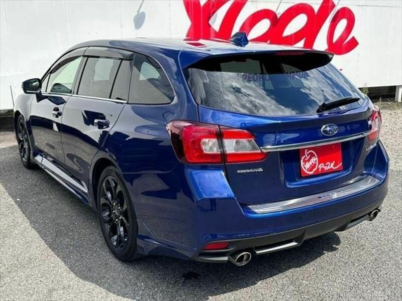 LEVORG-14