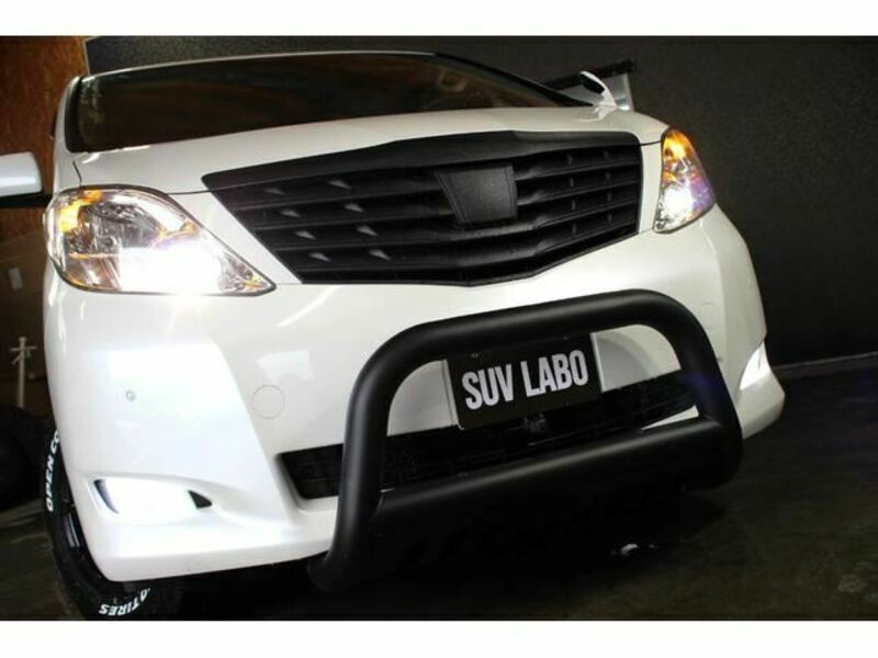 ALPHARD-8