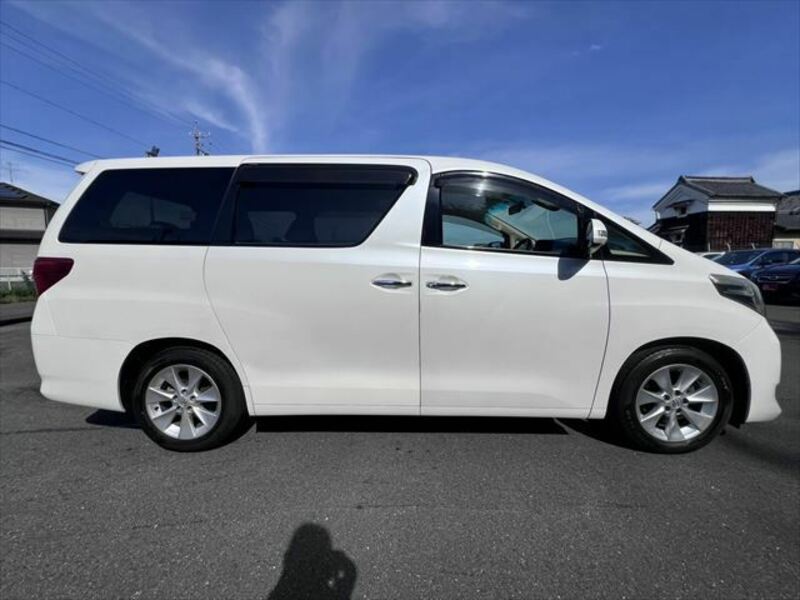 ALPHARD-17