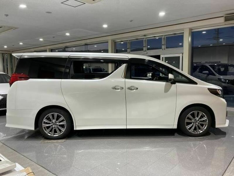 ALPHARD-13