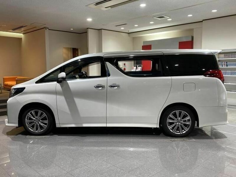 ALPHARD-15