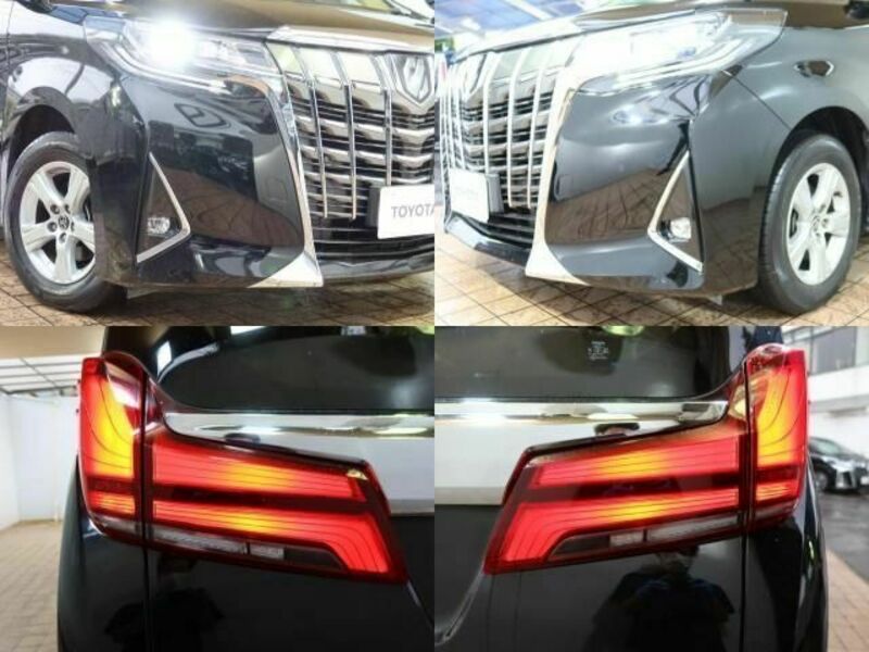 ALPHARD-3