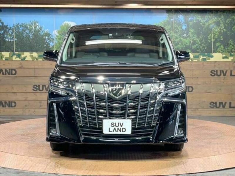 ALPHARD-15