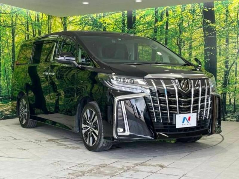 ALPHARD-17