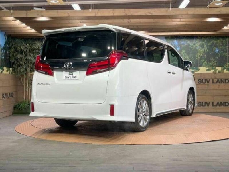 ALPHARD-18