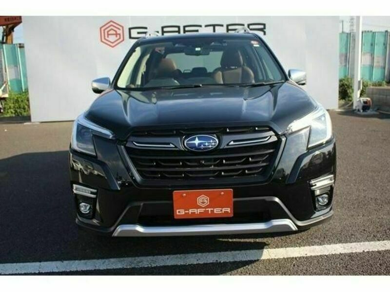 FORESTER-7