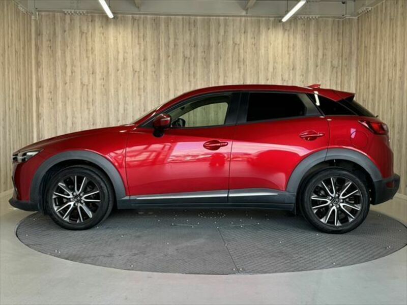 CX-3-19