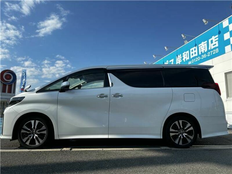 ALPHARD-10