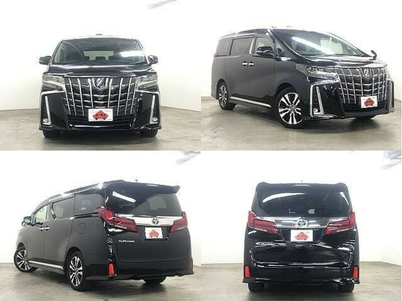 ALPHARD-8