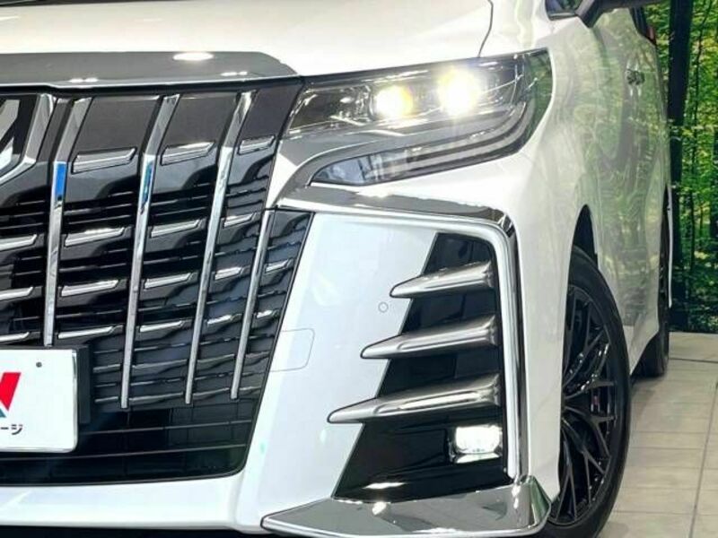 ALPHARD-13