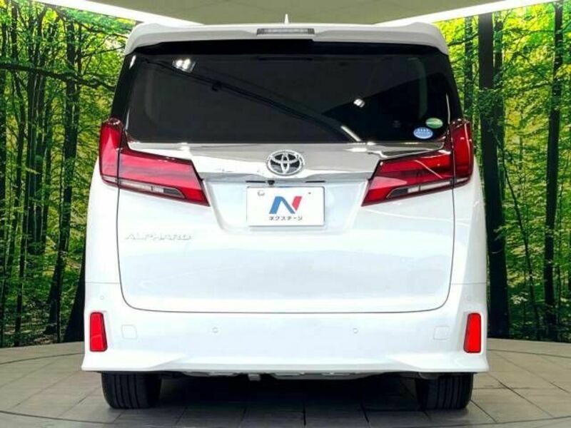 ALPHARD-16