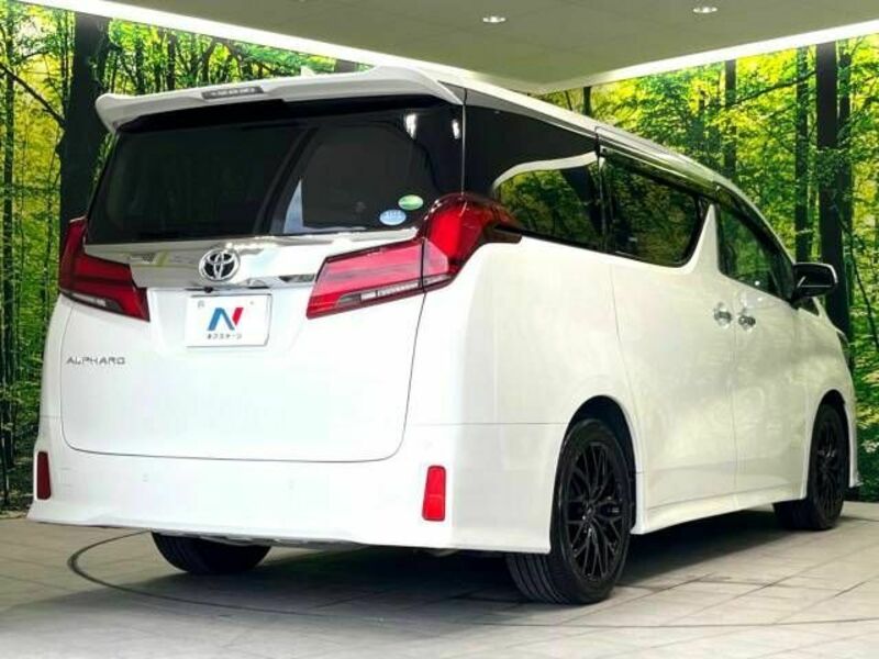 ALPHARD-18