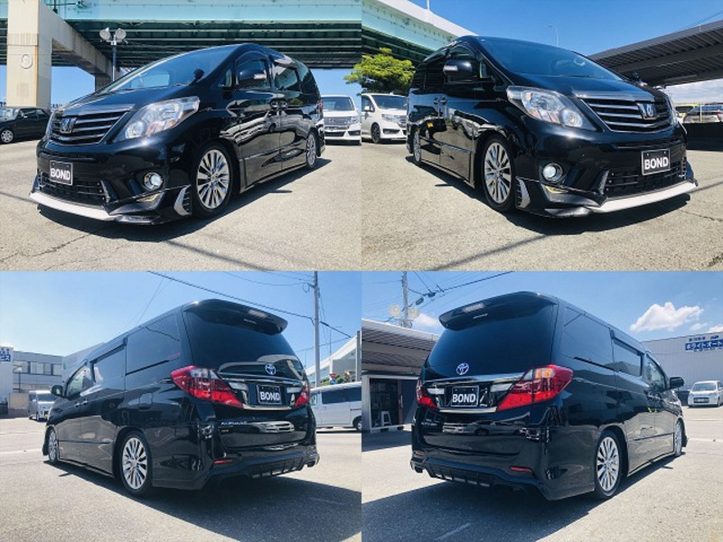 ALPHARD-6