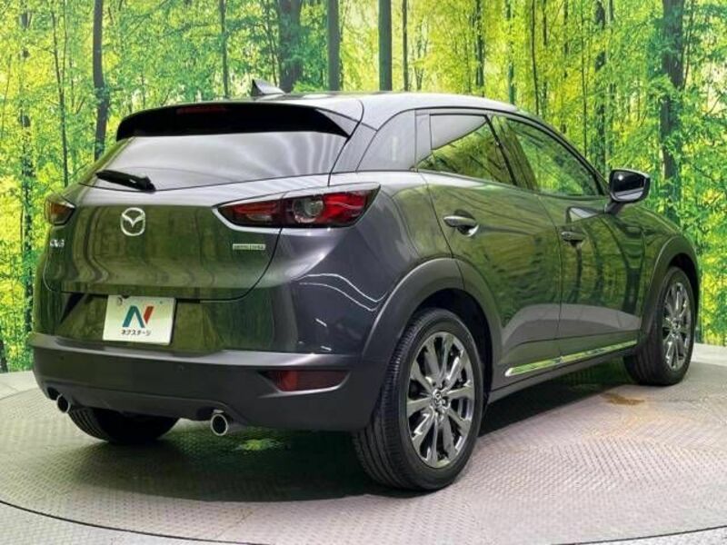 CX-3-17