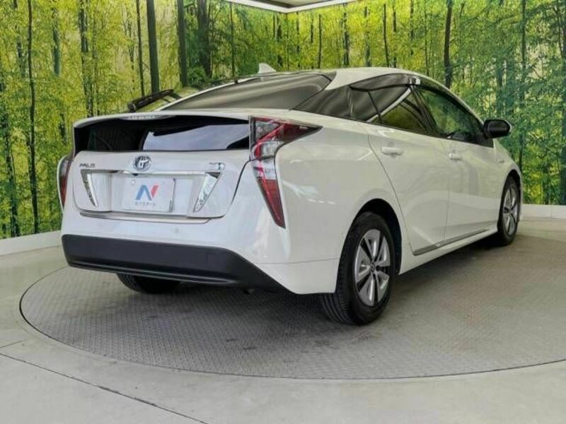 PRIUS-17