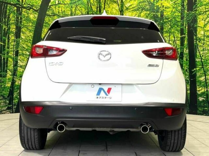 CX-3-15