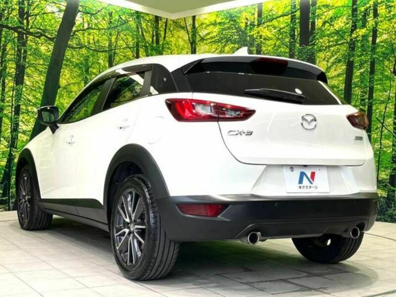 CX-3-17