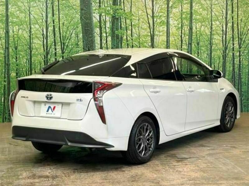 PRIUS-17