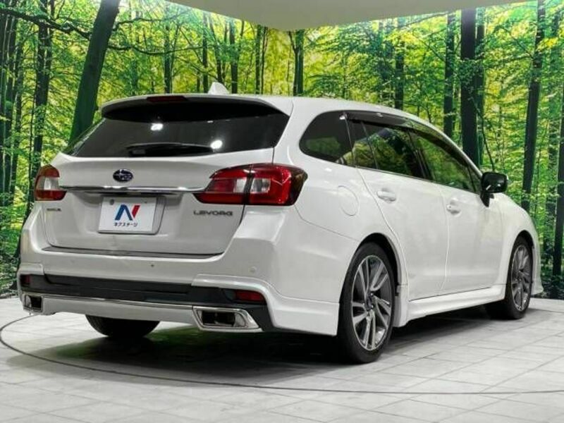 LEVORG-17