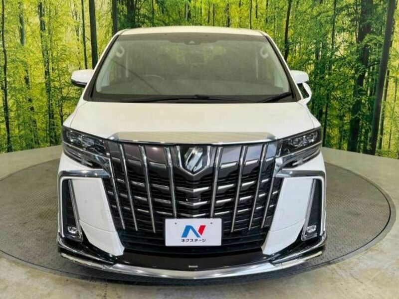 ALPHARD-14