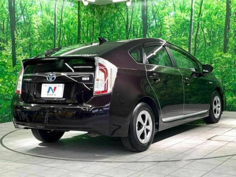 PRIUS-17