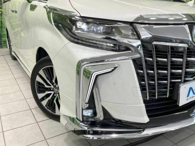 ALPHARD-13