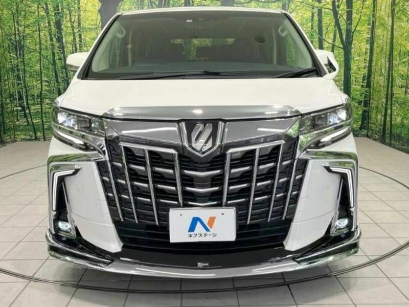 ALPHARD-15