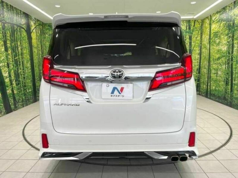 ALPHARD-16