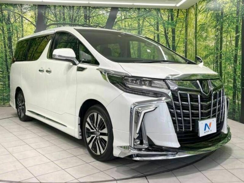 ALPHARD-17