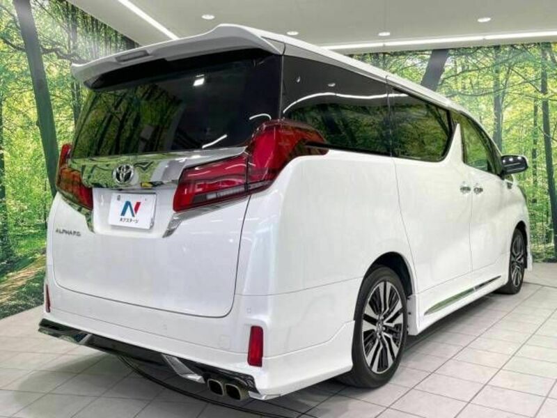 ALPHARD-18