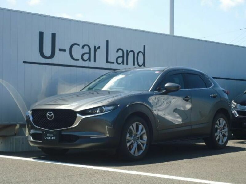 CX-30