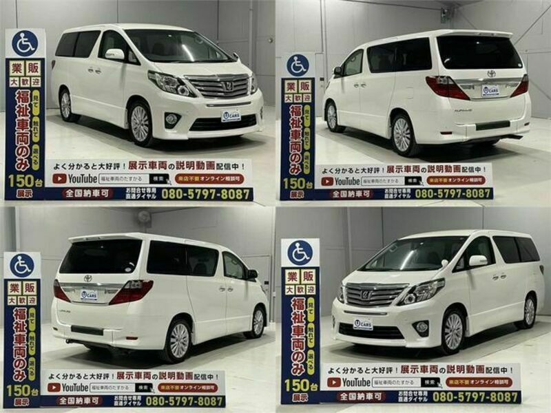 ALPHARD-17