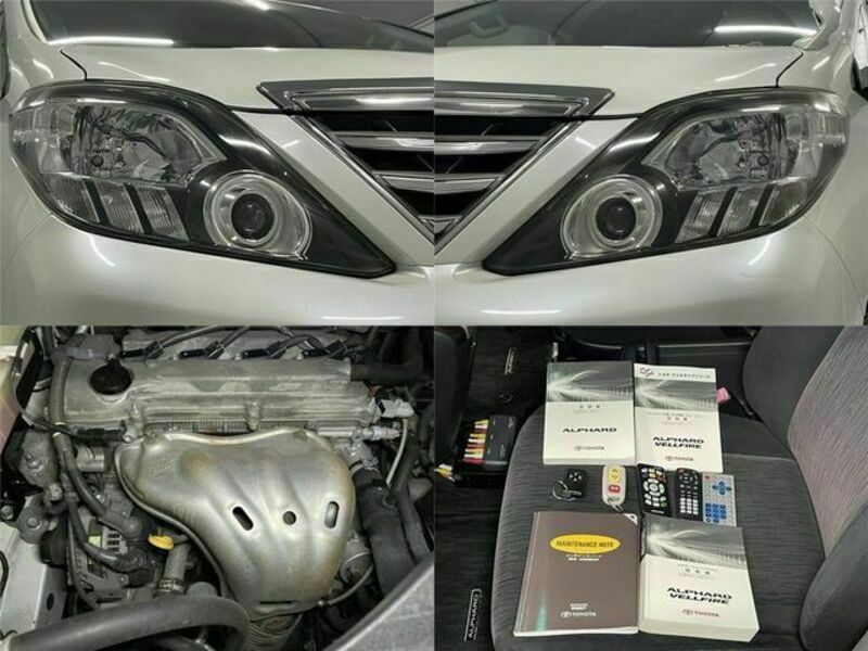 ALPHARD-19