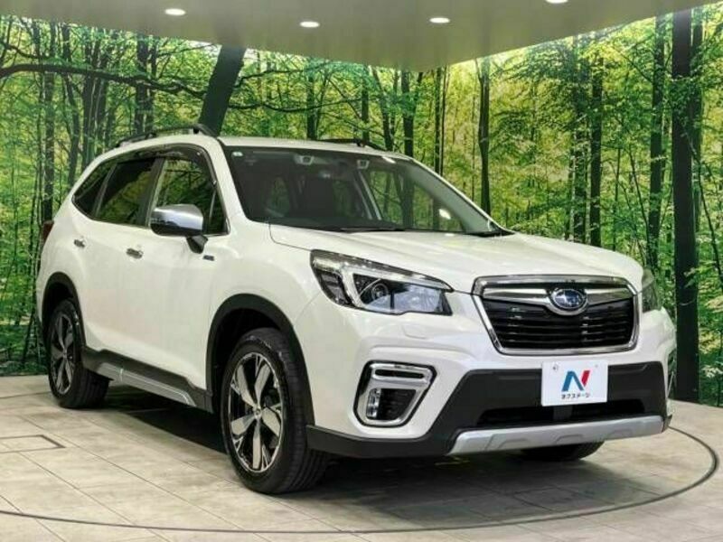 FORESTER-16