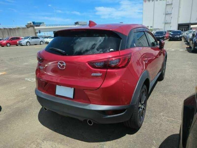 CX-3-10