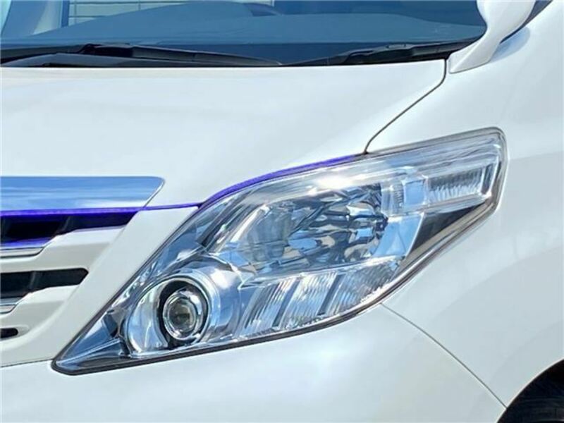 ALPHARD-29