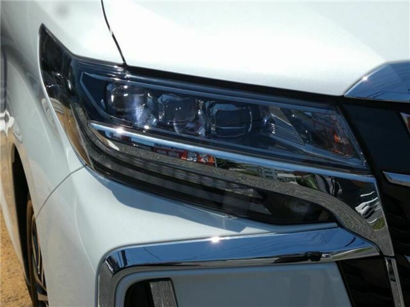 ALPHARD-10