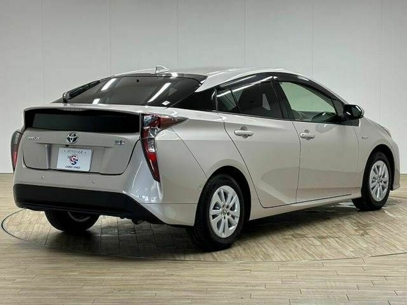 PRIUS-15