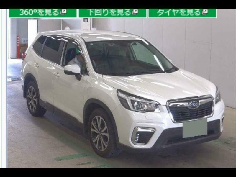 FORESTER-35