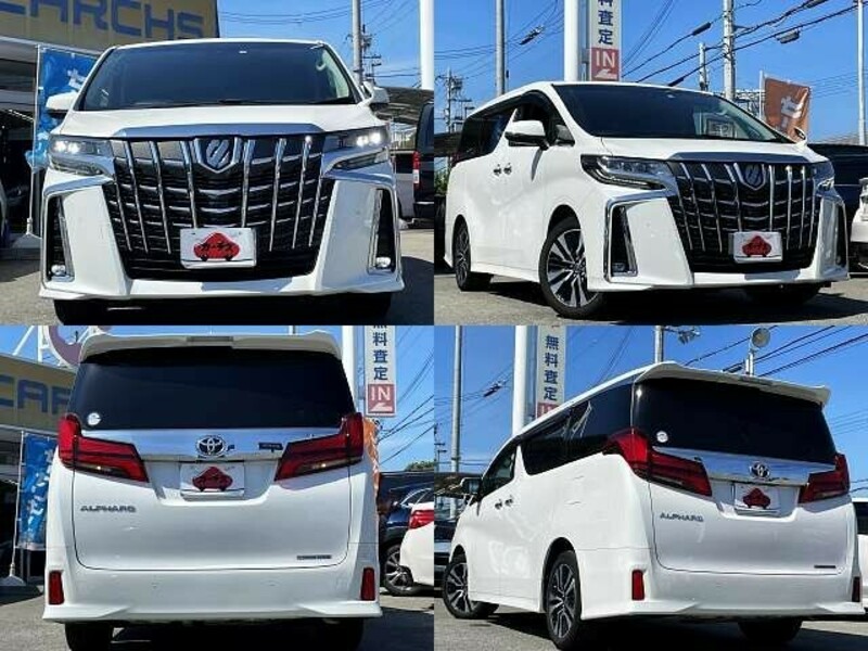 ALPHARD-8