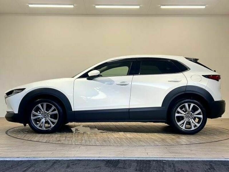 CX-30-13