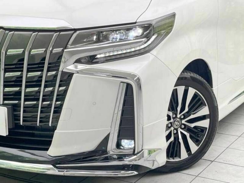 ALPHARD-12