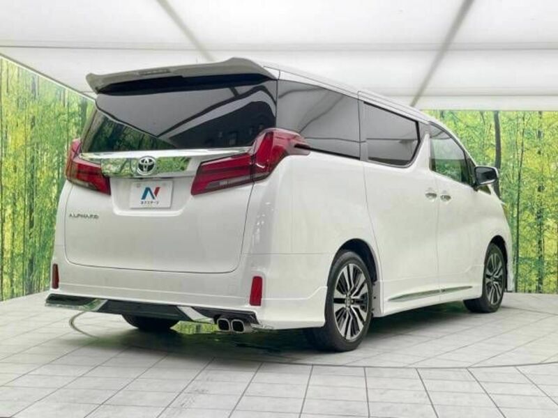 ALPHARD-17