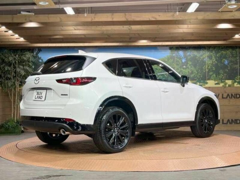 CX-5-17