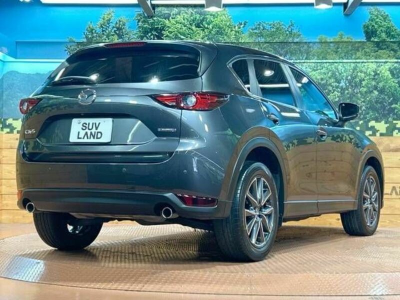 CX-5-17