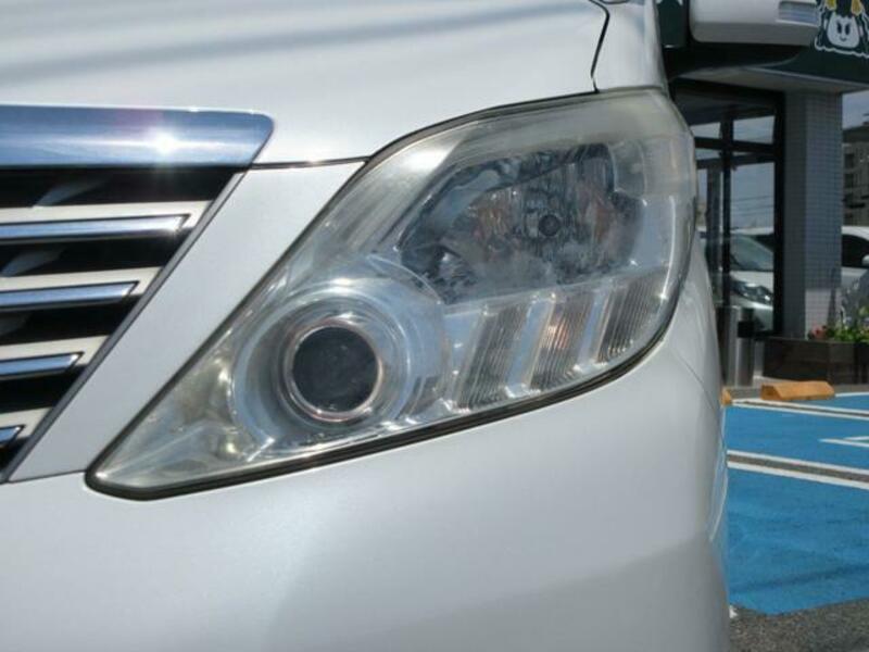 ALPHARD-14