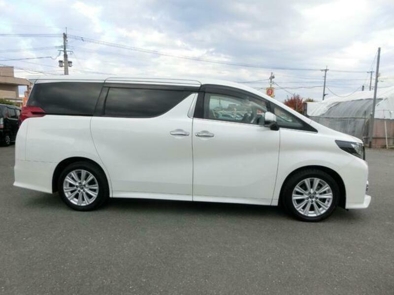 ALPHARD-13