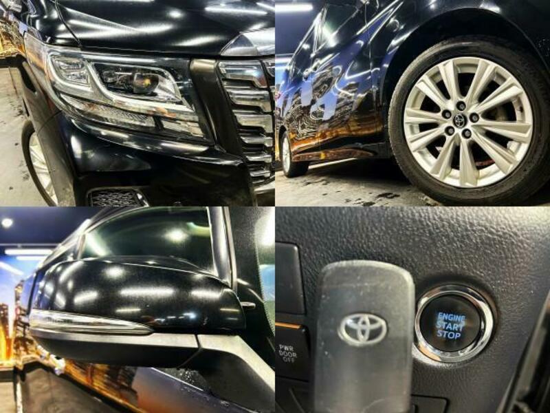 ALPHARD-8