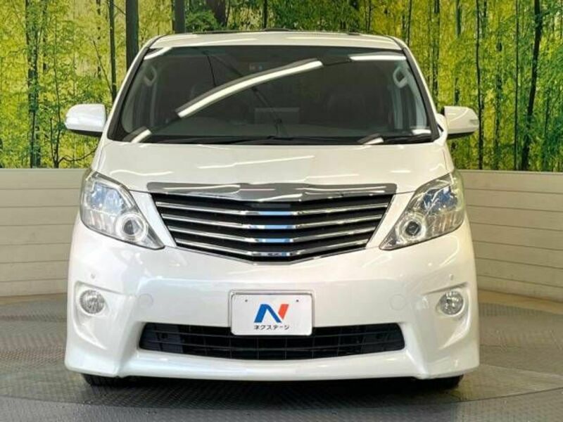 ALPHARD-13